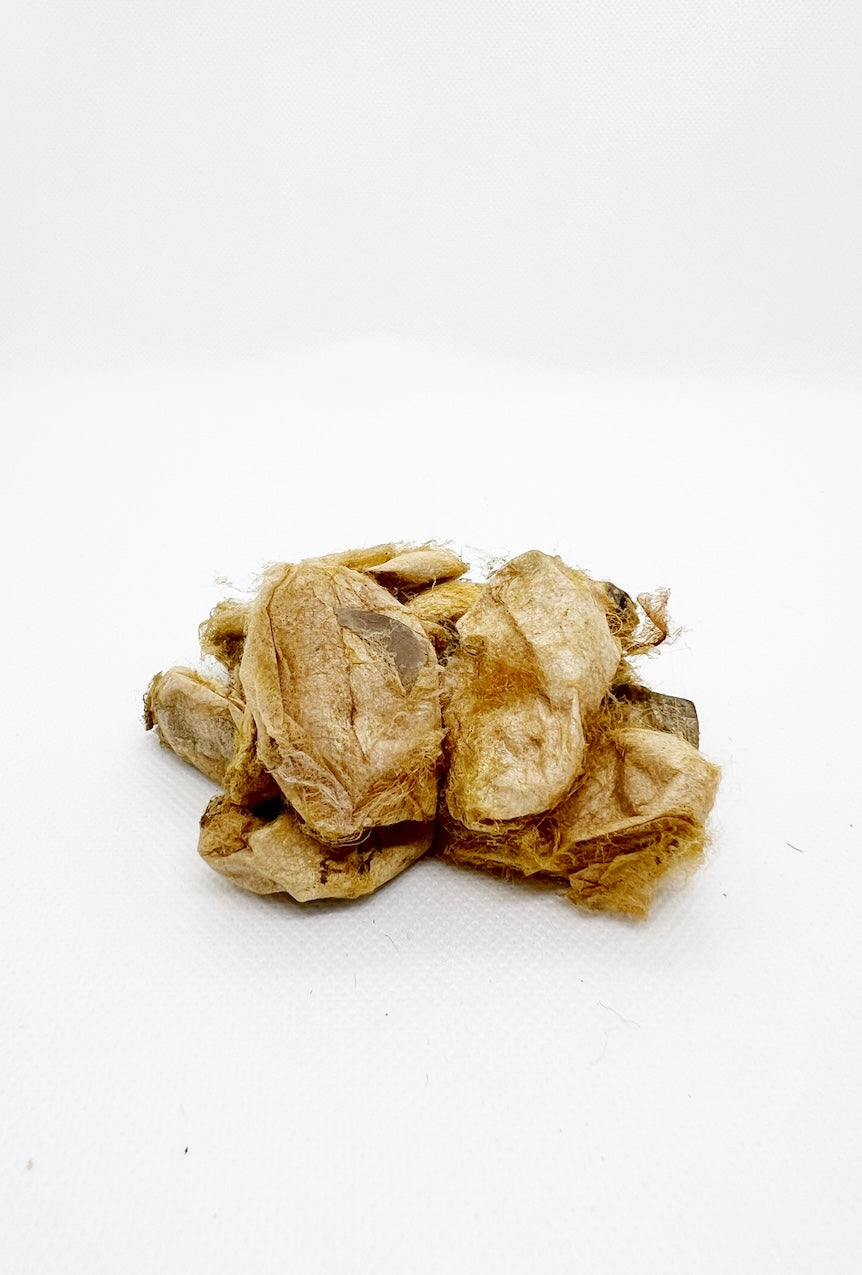 muga cocoon – Habu Textiles
