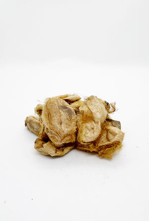 muga cocoon