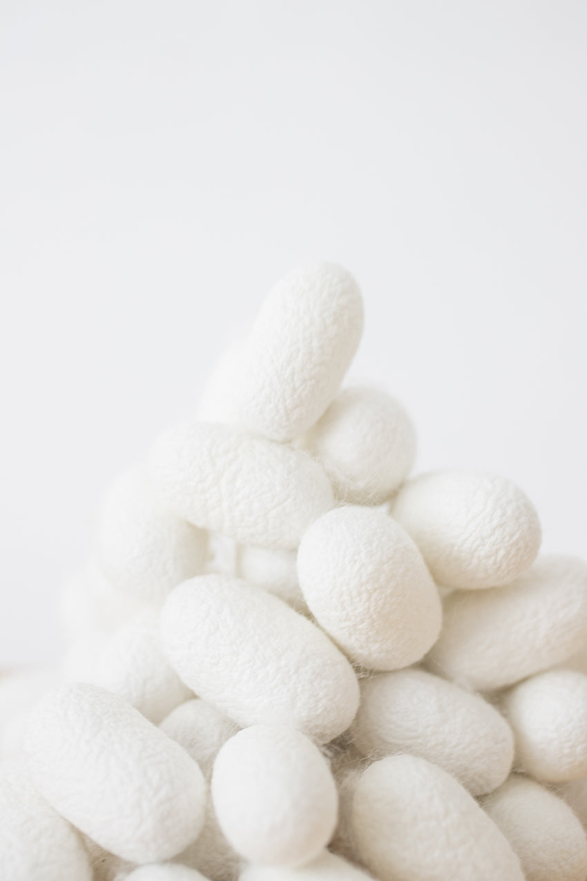 n-49 silk cocoons