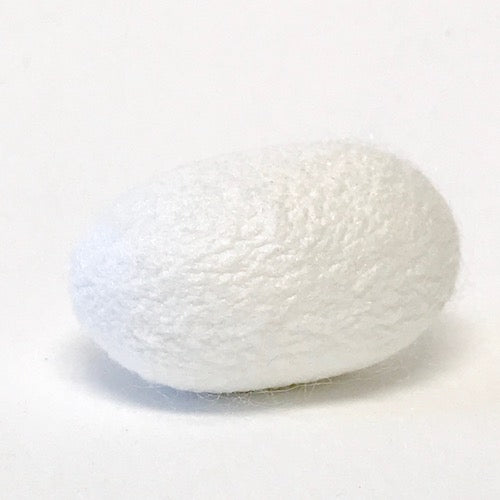 n-49 silk cocoons