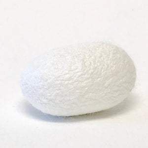 n-49 silk cocoons