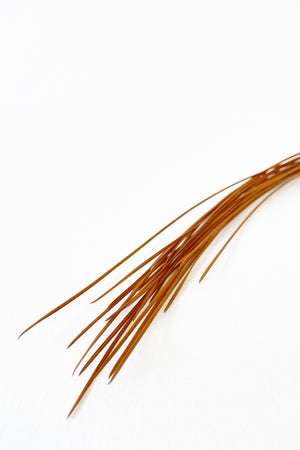 l-10 | pine needles
